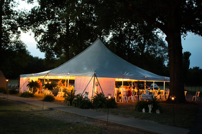 Christie and Tyler: Moulton, AL Peacock Themed Wedding » Blue Trillium ...